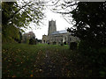 TM2185 : St. Mary's Church, Pulham St Mary by Geographer