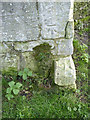 SK6989 : Bench mark, All Saints' Church, Mattersey by Alan Murray-Rust