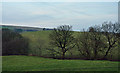 NY5905 : Trees and field adjacent to road in Bretherdale by Trevor Littlewood