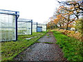 Footpath by greenhouses