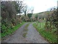 Track to Llwyn Bedw Uchaf [Upper Birch Grove]