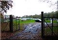 Looking into allotments on Hook Mill Lane