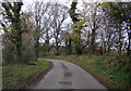 Minor road near Wester Bogs