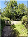 Approaching the Road Crossing near Dunsbear Halt