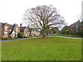 Astbury, village green