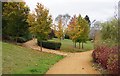 Path around Turners Pond