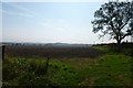 Farmland near Widdrington Cottages