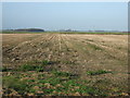 Flat farmland, Stalmine Moss