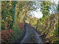 SU3451 : White Hill, a Roman road by Robin Webster
