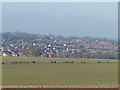 A view of Devizes [2]