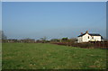 Grazing north of Lancaster Road