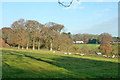 View north-east from near Tangley church