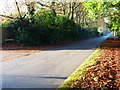 Looking west on Woodlands Ride from Hurstwood