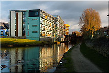 SJ9097 : Ashton Canal by Peter McDermott