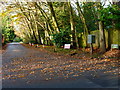 Looking westwards on St Marys Road