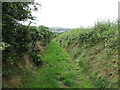 Green lane linking Clonduff Road and Hilltown