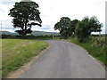 Track junction at a bend in the Clonduff Road