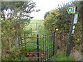 Landford, kissing gate