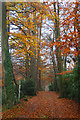 Autumnal drive off Felcourt Road