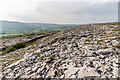 M2203 : Limestone pavement by Ian Capper