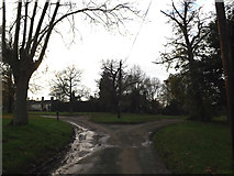 TM1178 : Low's Lane, Palgrave by Geographer
