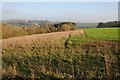 View across Cotswold Park