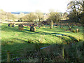 NY5377 : Stone circle at the Knowe by Oliver Dixon