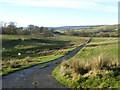 Hill down to the Knowe