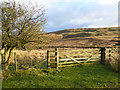 Gate onto the moors at Tower Brae