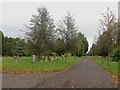 Path in Carlisle Cemetery