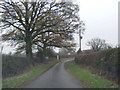 Lane near Grange Farm