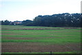 Farmland south of Headcorn