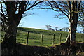 Farmland near Corriestonehill Wood