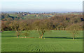 Landscape near Beauvale Priory