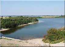 SZ8896 : Small cove within Pagham Lagoon by Derek Voller
