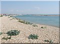 SZ8896 : Entrance Channel to Pagham Harbour by Derek Voller