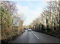 Road Near Wyre Piddle