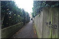 Urban footpath to Regent Parade