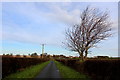 Lane on Langthorpe Moor