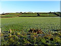 A frosty hill, Cloghfin