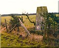 NY0533 : Triangulation pillar at Broughton Moor by Roger Templeman
