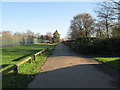 Footpath - Thornes Park