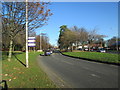 Denby Dale Road - viewed from Thornes Road