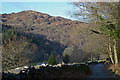 The Nanmor valley near Fronwen