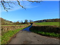 The road towards Hill Farm, Llanishen