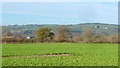 Wye Valley floor near Three Cocks