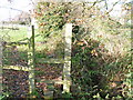 Stile and ditch