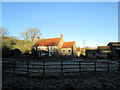 Blue  sky  sunshine  and  a  heavy  frost