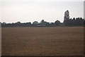 Farmland off Whitebread Lane