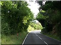 A leafy arch over the Bann Road (A50) near the Magheramayo Road junction